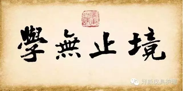 好威皮具护理